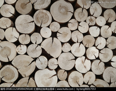 木材與家具 自然與藝術(shù)的完美融合