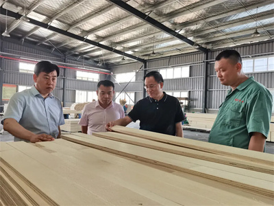 攜手共進(jìn)，共筑未來——熱烈歡迎中國木材保護(hù)工業(yè)協(xié)會(huì)會(huì)長劉能文一行蒞臨福慶參觀考察指導(dǎo)