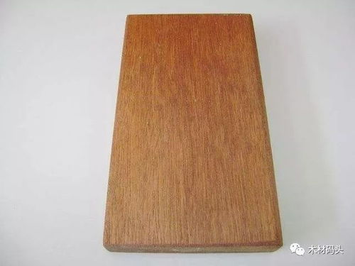 年末臨近，探析木材市場 供需動(dòng)態(tài)、價(jià)格走勢與未來展望