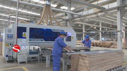 泗陽 積極引導(dǎo)加快轉(zhuǎn)型，推動(dòng)木材加工和家具制造業(yè)做大做強(qiáng)